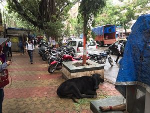 Pedestrian Footpath – Road Safety Toolkit